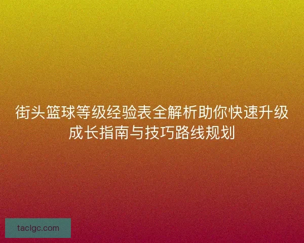 街头篮球等级经验表全解析助你快速升级成长指南与技巧路线规划