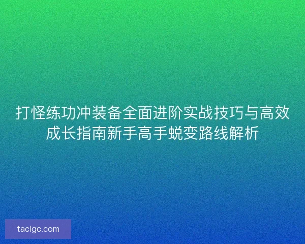 打怪练功冲装备全面进阶实战技巧与高效成长指南新手高手蜕变路线解析